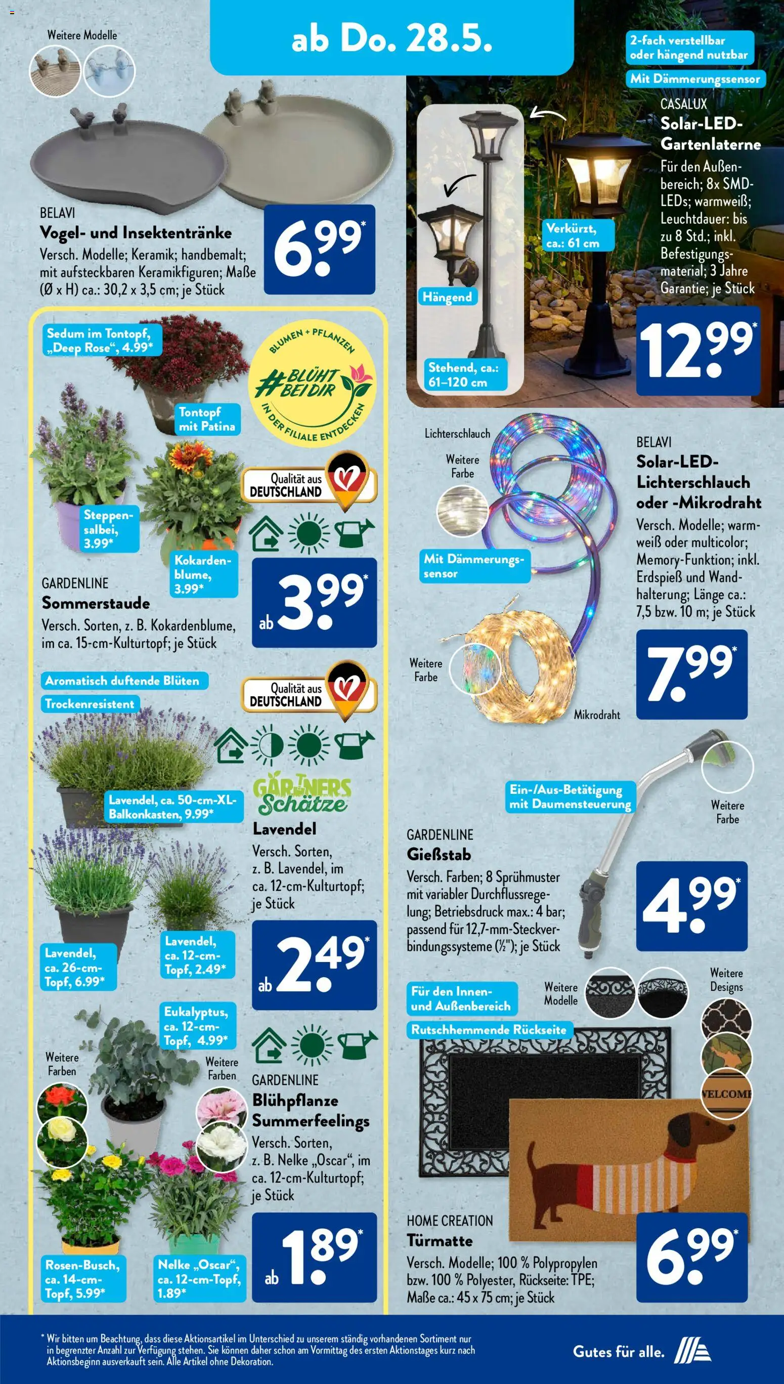 Aldi Süd Prospekt 	 – gültig ab 26.05.2026 | Seite: 8 | Produkte: Belavi, Blumen, Lavendel, Home creation