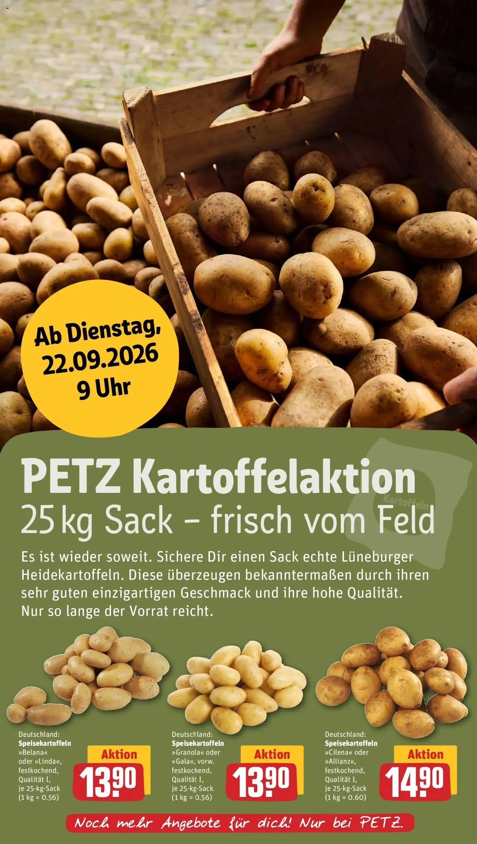 REWE Prospekt ab 21.09.2026 zum Blättern » Angebote | Seite: 31 | Produkte: Uhr