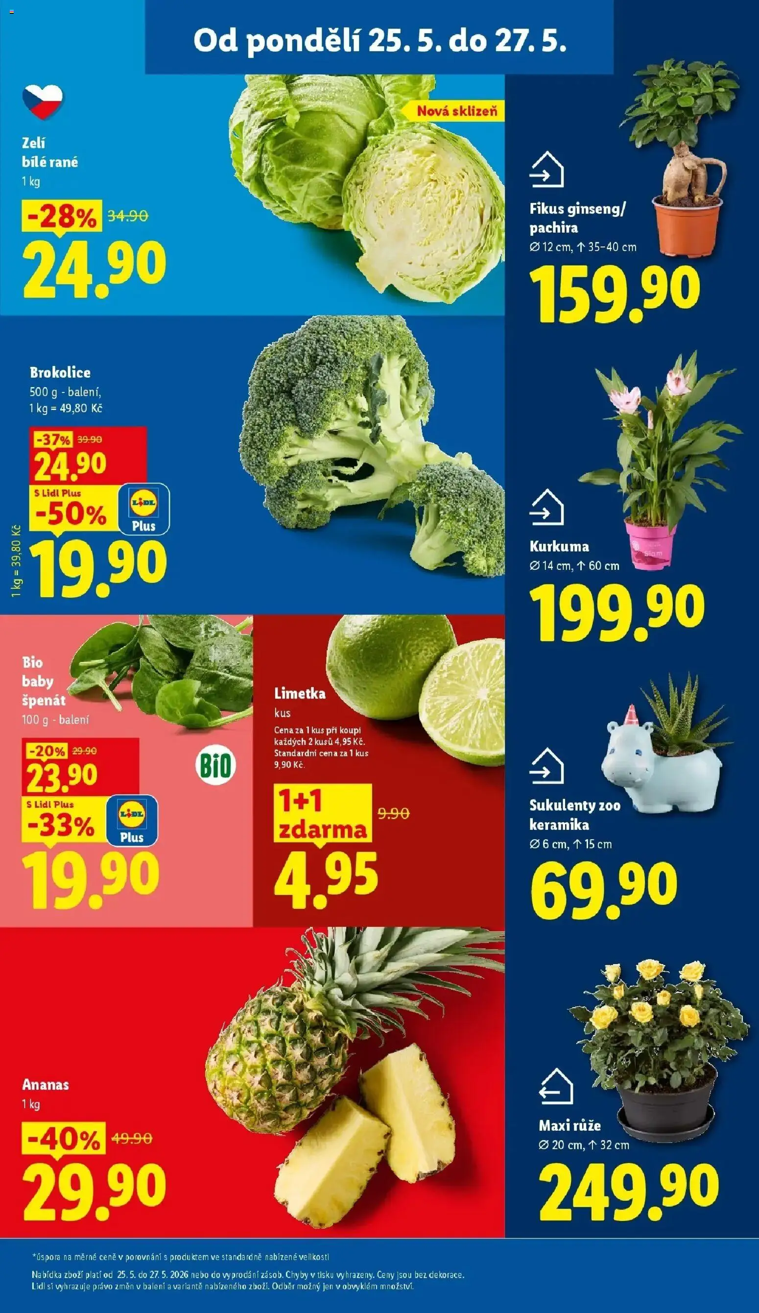 Lidl aktuální leták od 25.05.2026 | Strana: 11 | Produkty: Zelí, Špenát, Brokolice, Kurkuma