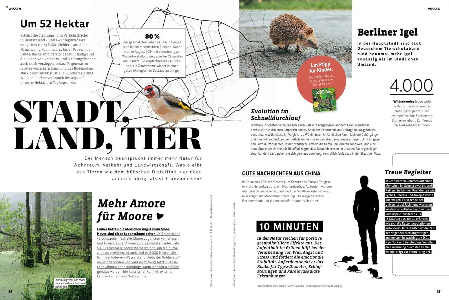 Denns BioMarkt KREO Magazin gültig ab 22.07.2026 | Seite: 19