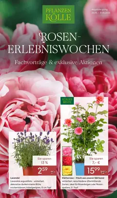 Pflanzen-Kölle Rosenerlebniswochen Teltow ab 26.05.2026 gültig