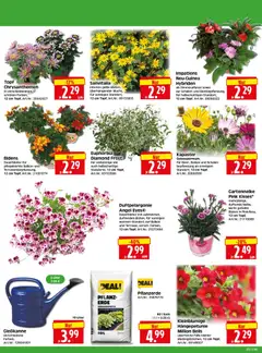 HERKULES Bau & Garten ab 26.05.2026 gültig | Seite: 2