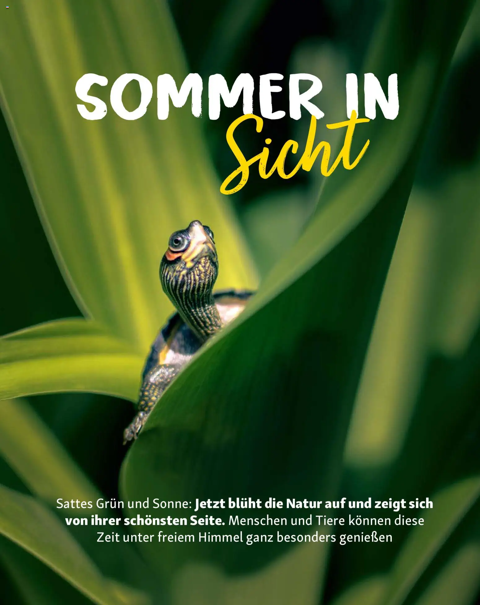 Fressnapf Friends Magazin – gültig ab 01.05.2026 | Seite: 11