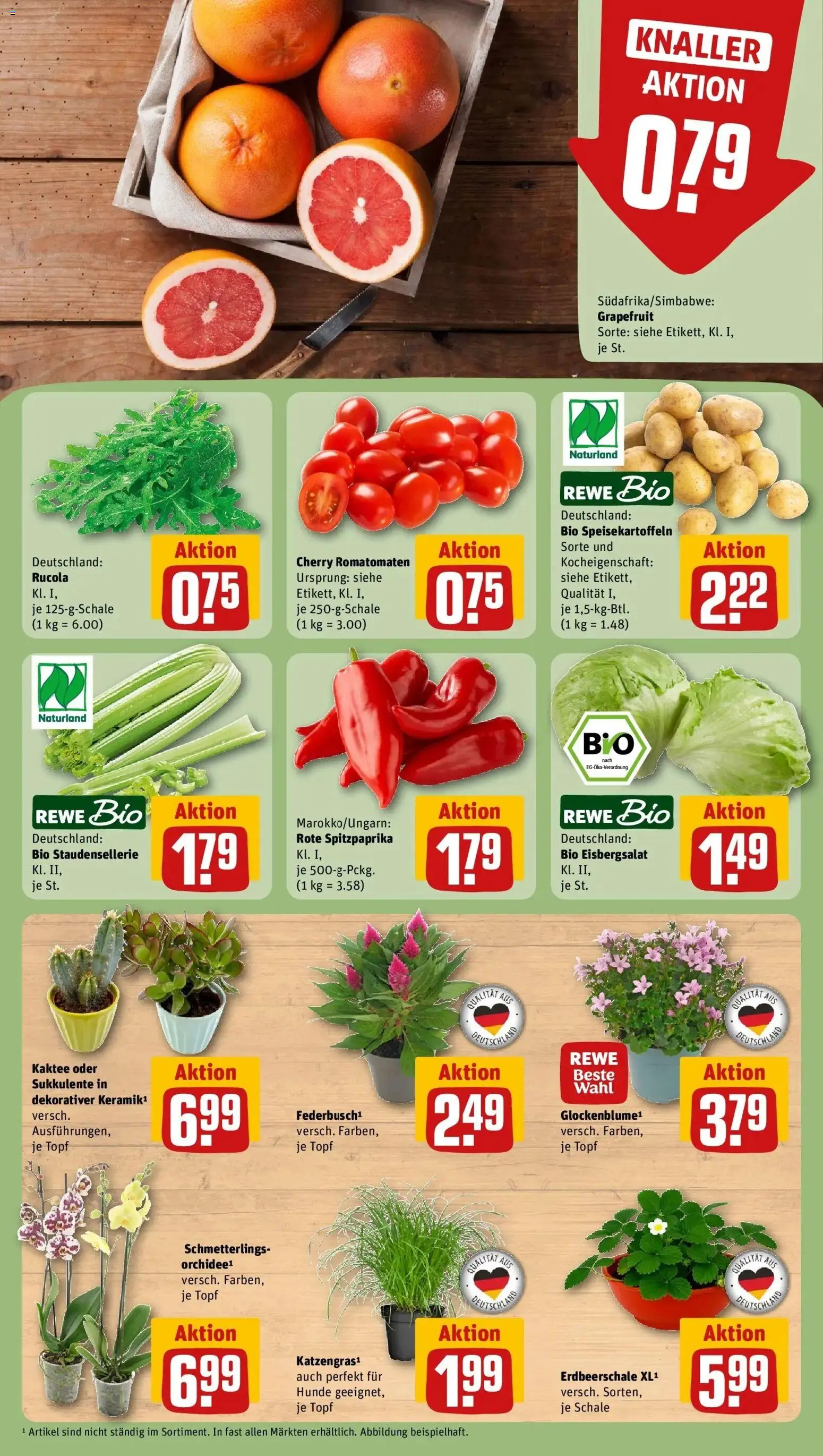 Rewe Prospekt Groß-Umstadt – gültig ab 27.07.2026 | Seite: 7 | Produkte: Orchidee, Rucola, Eisbergsalat, Grapefruit