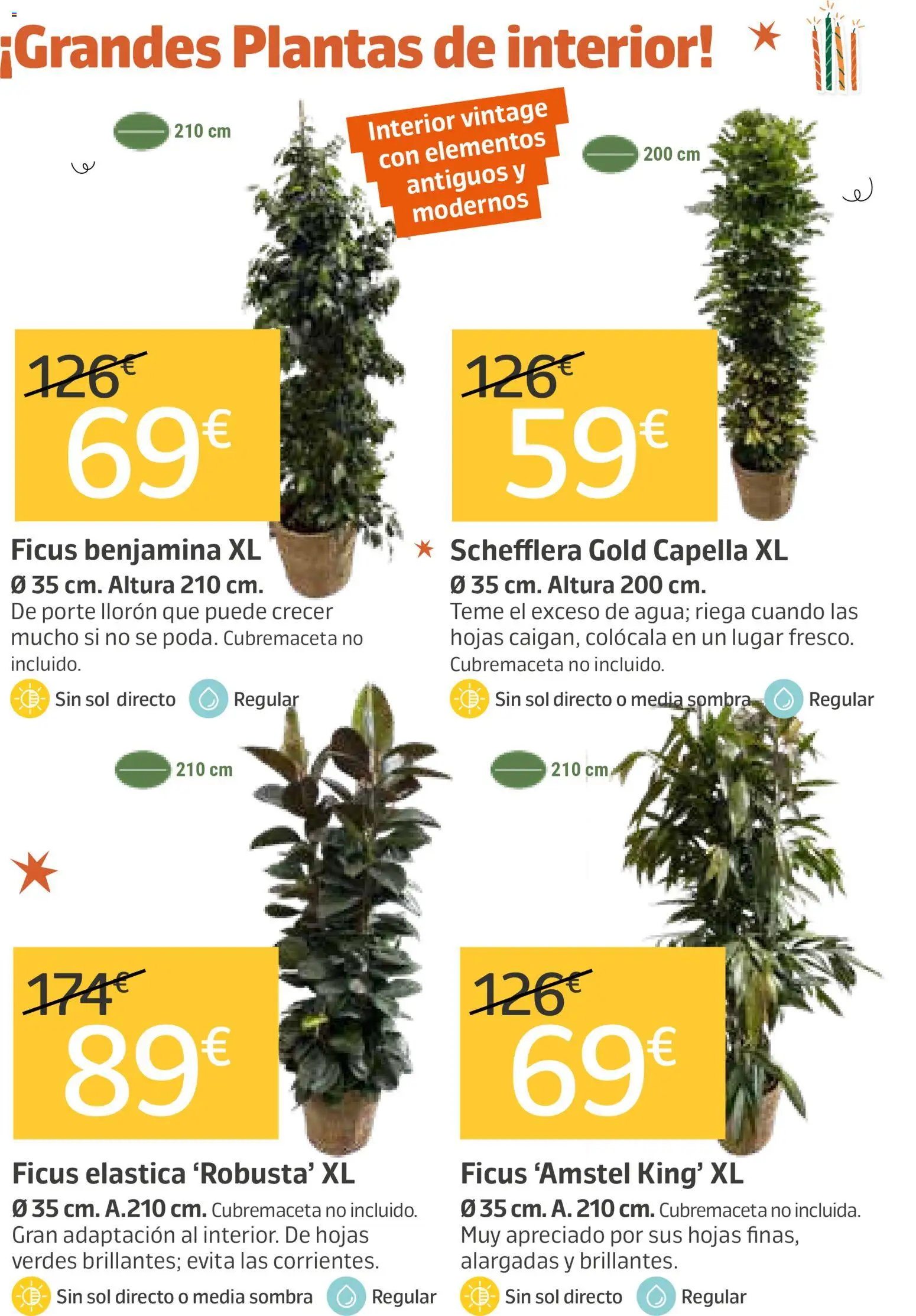 Jardiland folleto │ válido desde el 21.05.2026 | Página: 4 | Productos: Sombra