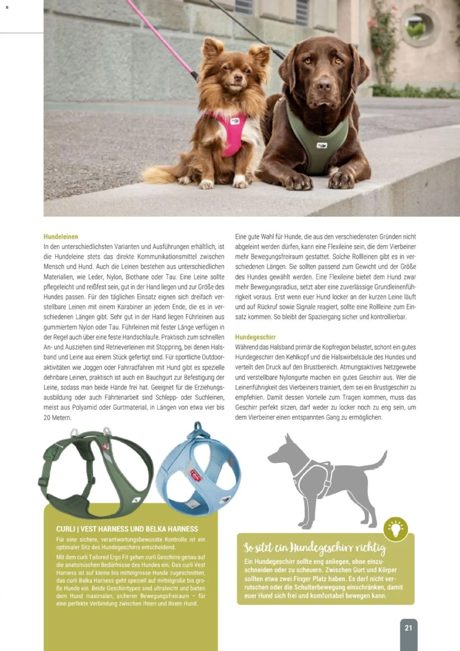 zookauf Themenkatalog Hund – gültig ab 18.05.2026 | Seite: 21 | Produkte: Gewicht