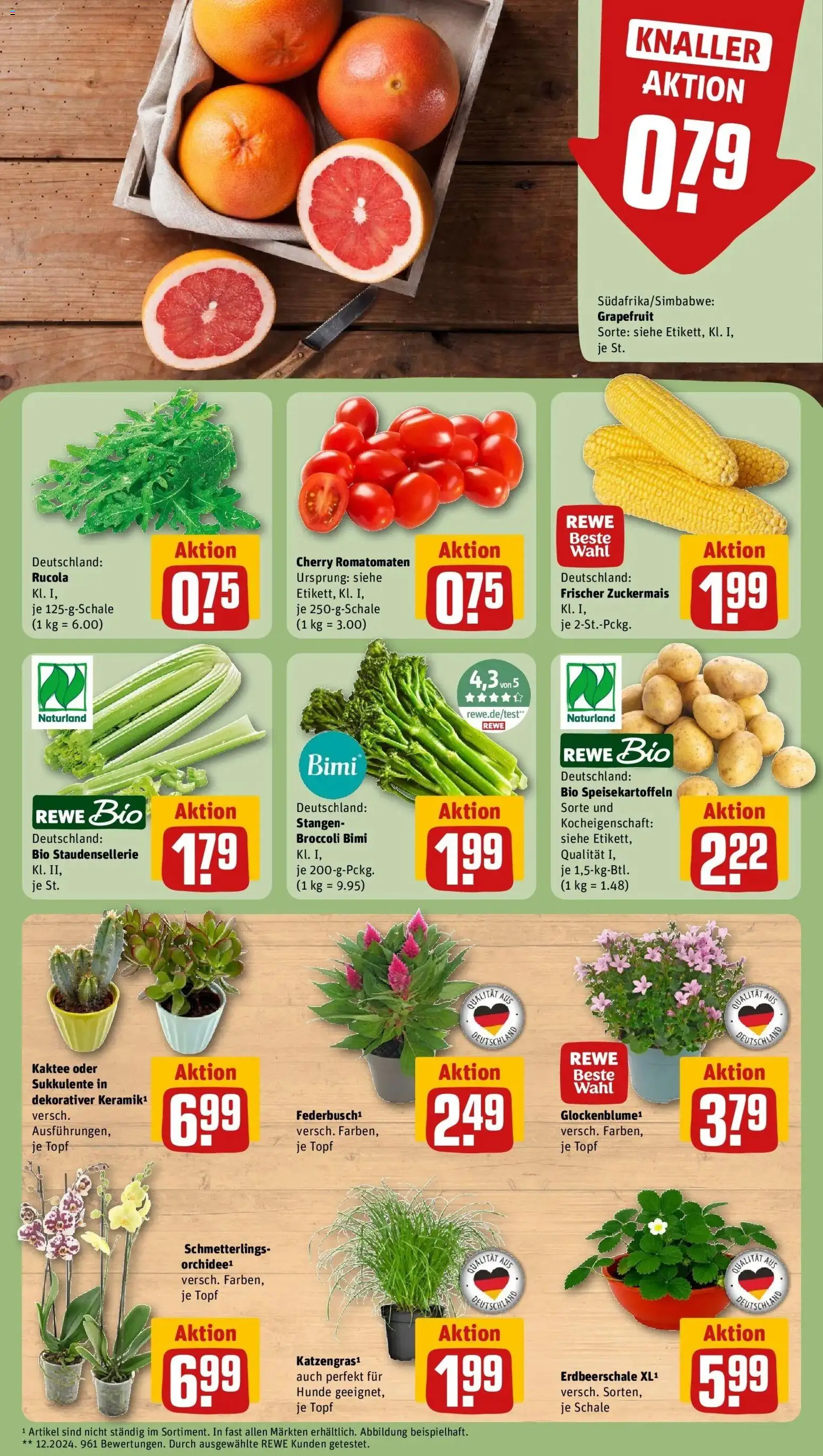 Rewe Prospekt Templin – gültig ab 27.07.2026 | Seite: 7 | Produkte: Orchidee, Rucola, Grapefruit