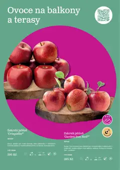 Náhled letáku Starkl katalog od 25.02.2026 | Strana: 13