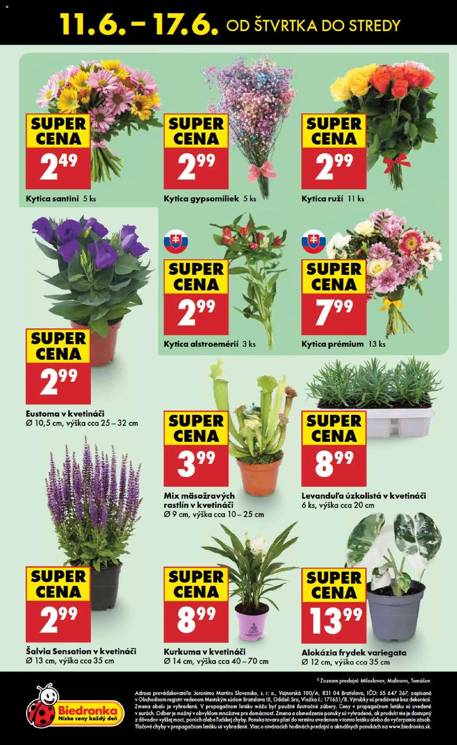 Nové Biedronka akcie – leták je platný od 11.06.2026 | Strana: 48 | Produkty: Kurkuma
