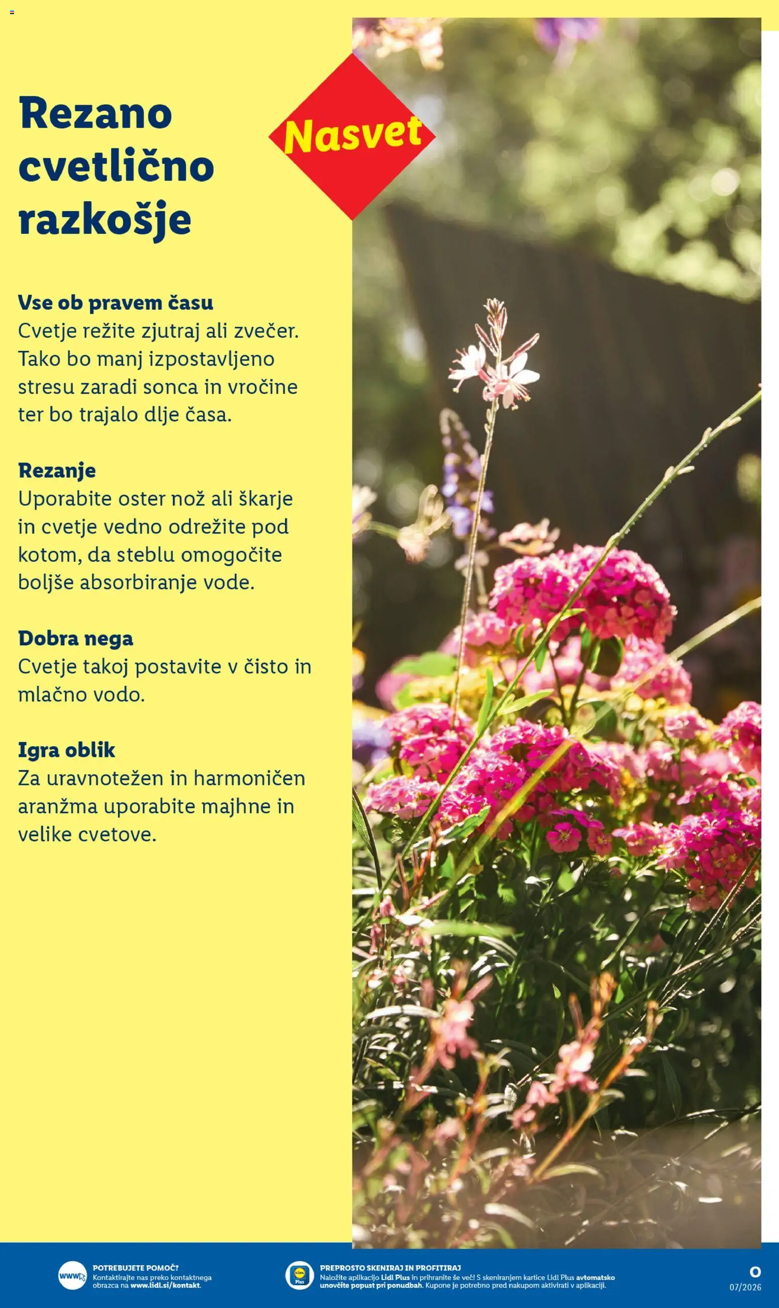Novi Lidl katalog ponudbe – veljaven od 20.04.2026 | Stran: 5 | Izdelki: Igra, Nož, Cvetje
