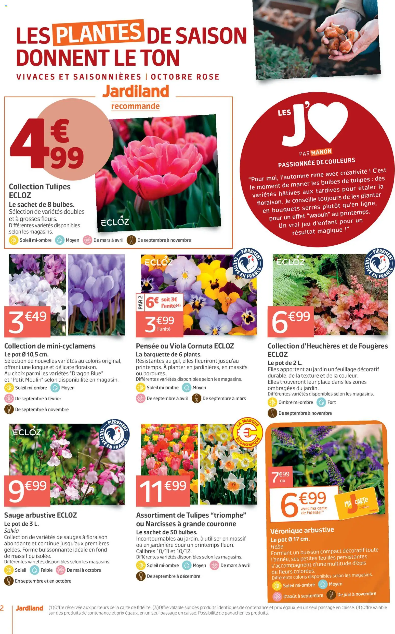 {H1} | Page: 2 | Produits: Bulbes de tulipes, Plantes, Fleurs, Tulipes