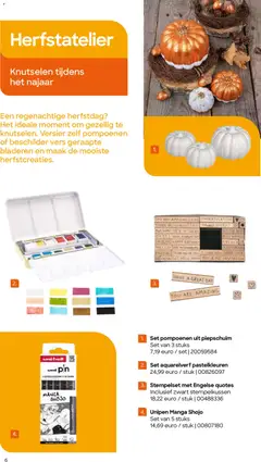 AVA folder - Voorbeeld van een folder van AVA, geldig van 31/08/2026 | Pagina: 6 | Producten: Pin
