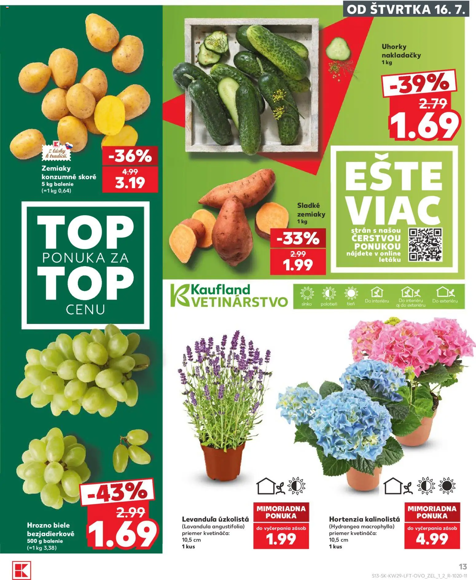 Kaufland SK akciós ujság - amely érvényes a következő dátumtól: 2026.07.16. | Oldal: 13 | Termékek: Hortenzia