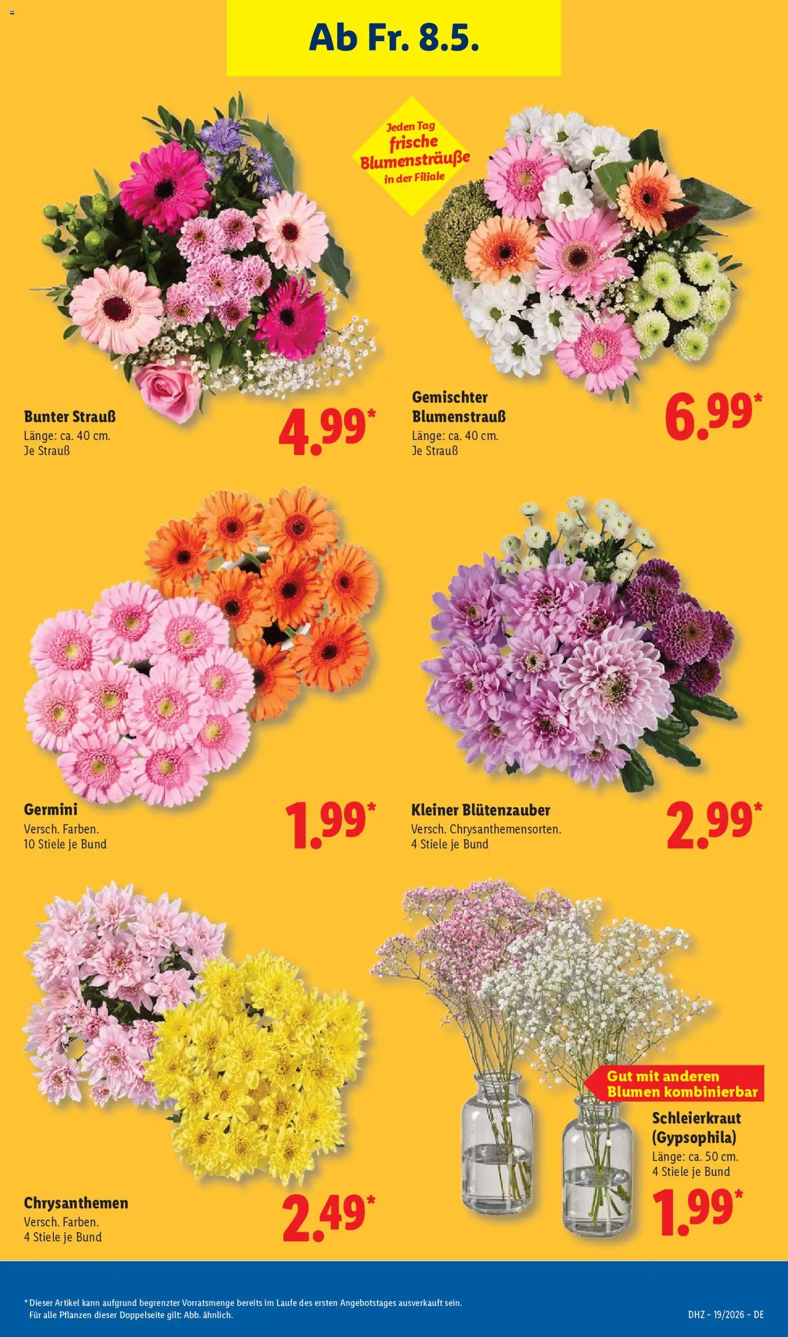 Lidl Prospekt – gültig ab 04.05.2026 | Seite: 13 | Produkte: Blumen