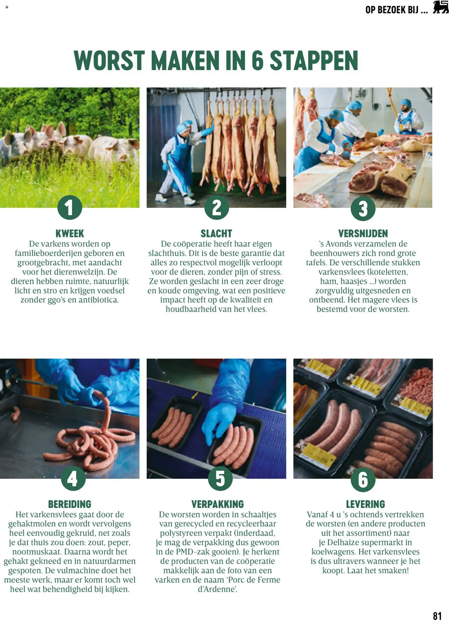 {H1} | Pagina: 81 | Producten: Gehakt, Varkensvlees, Worst, Vlees