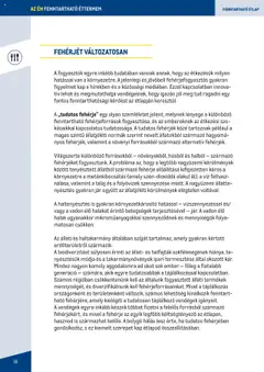 Metro - Fenntartható Gasztronómia booklet - amely érvényes a következő dátumtól: 2023.06.07. | Oldal: 16
