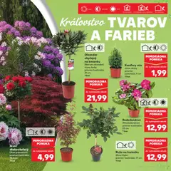 Kaufland SK akciós újság Kert - amely érvényes a következő dátumtól: 09.04.2026 | Oldal: 7 | Termékek: Rododendron, Rhododendron