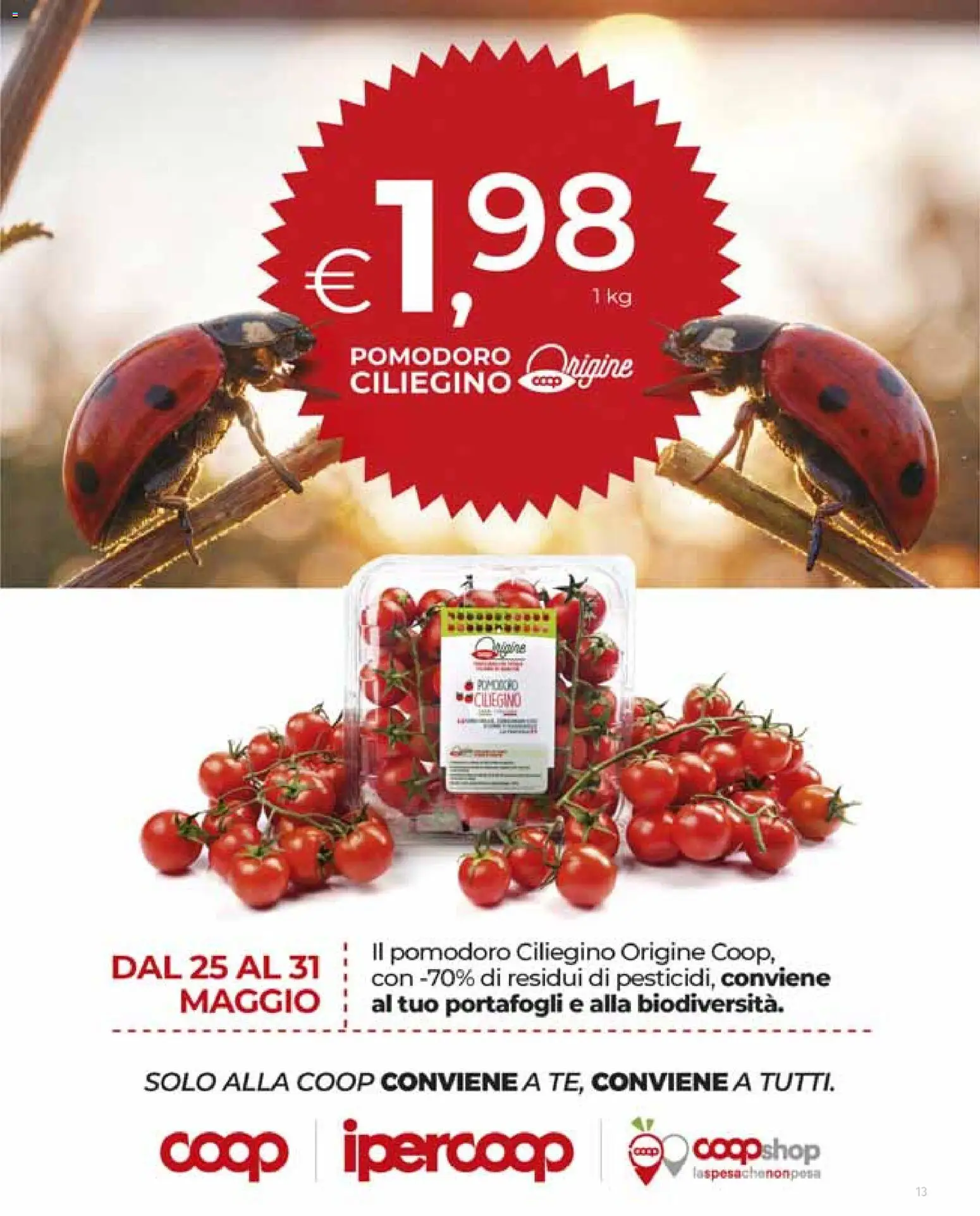 Volantino Ipercoop del 21.05.2026 | Pagina: 13 | Prodotti: Pomodoro