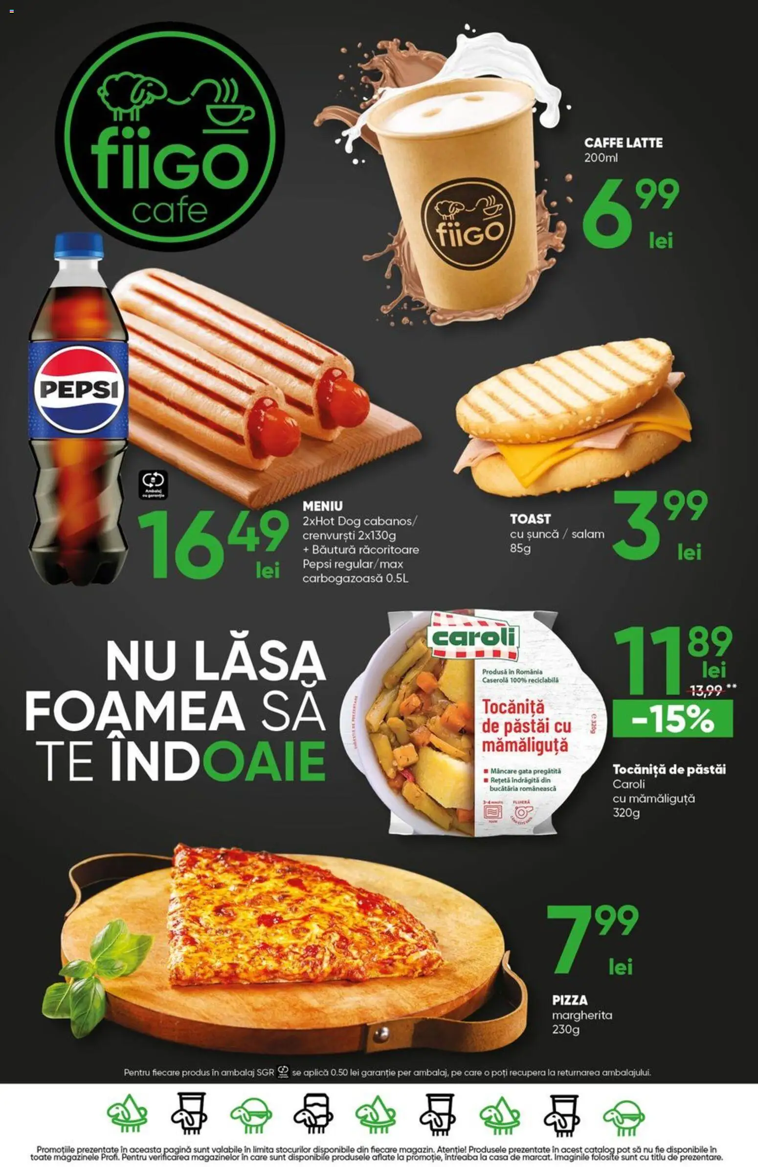 Noul catalog Profi – valabil de la 20.08.2026 | Pagină: 17