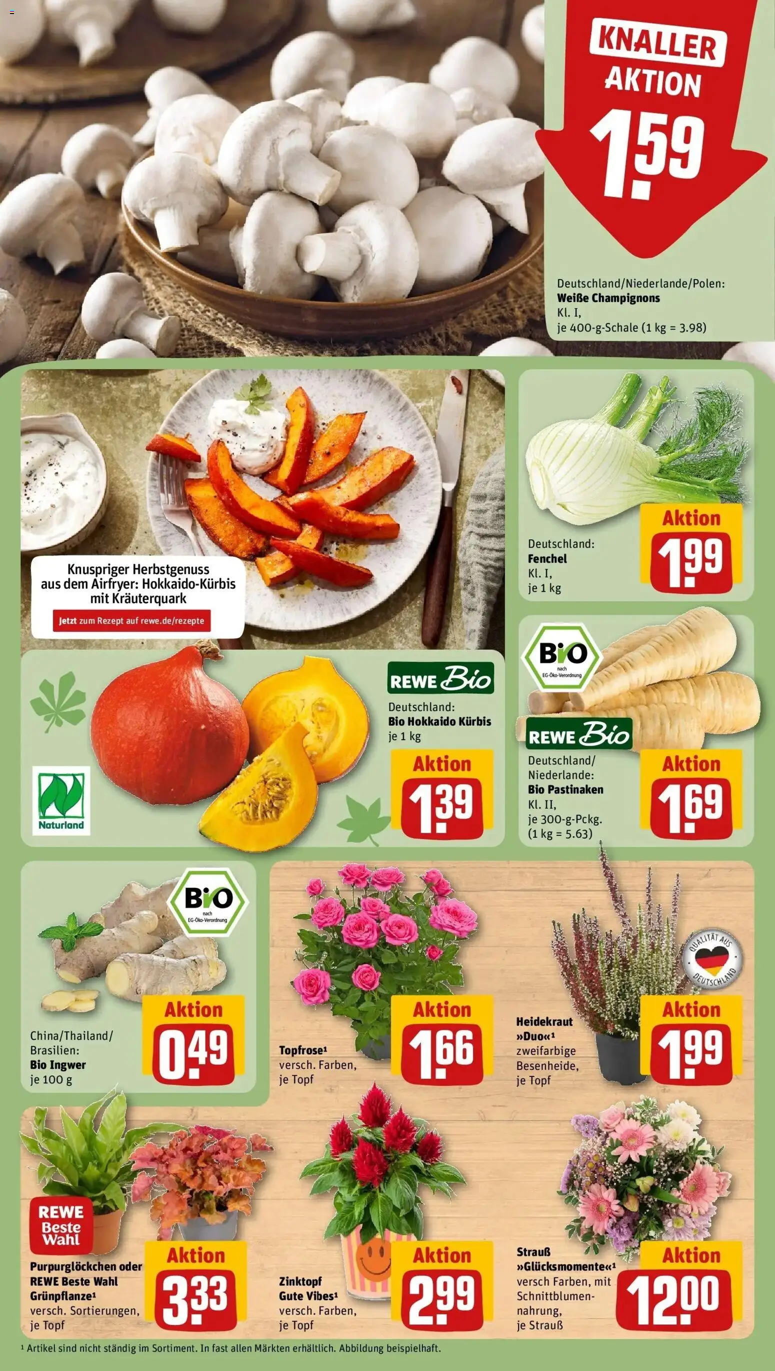 REWE Prospekt ab 28.09.2026 zum Blättern » Angebote | Seite: 13 | Produkte: Champignons, Kürbis