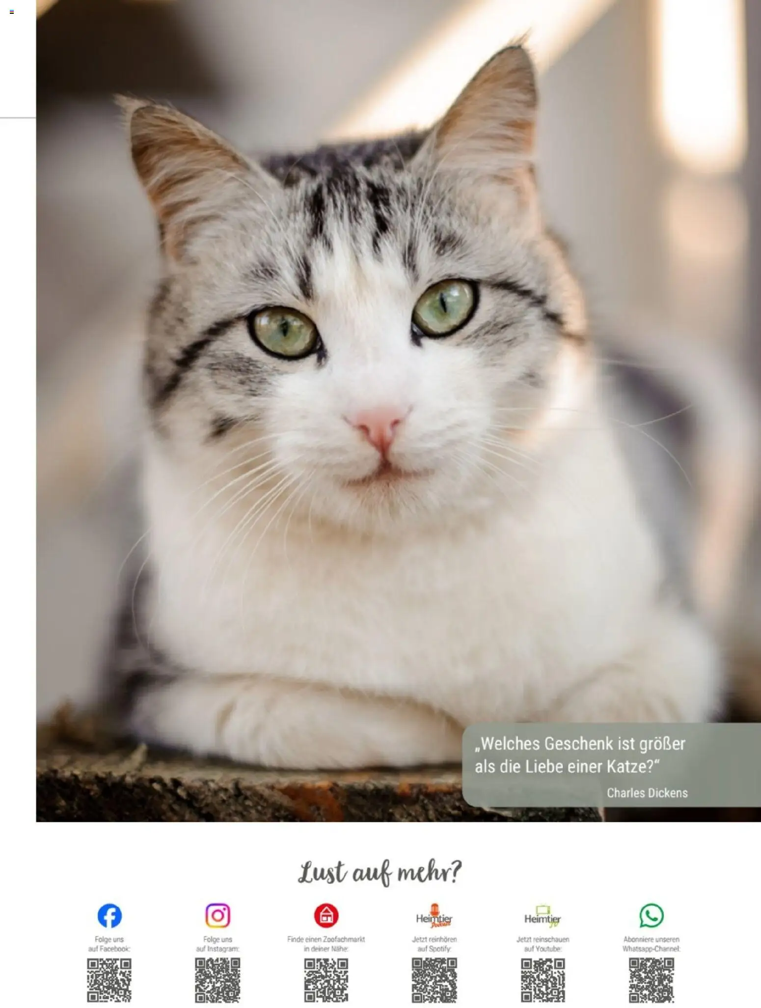 zookauf Themenkatalog Katze – gültig ab 01.10.2026 | Seite: 3