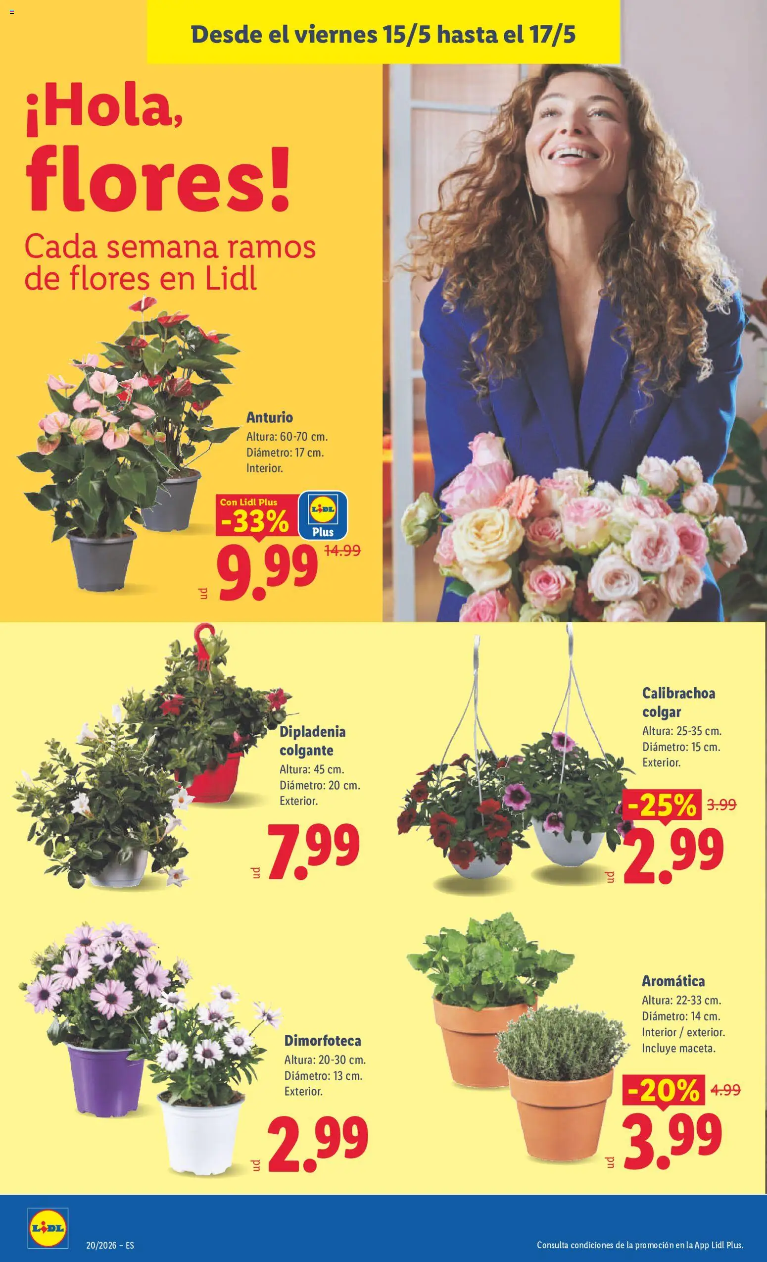 Lidl folleto │ válido desde el 11.05.2026 | Página: 40