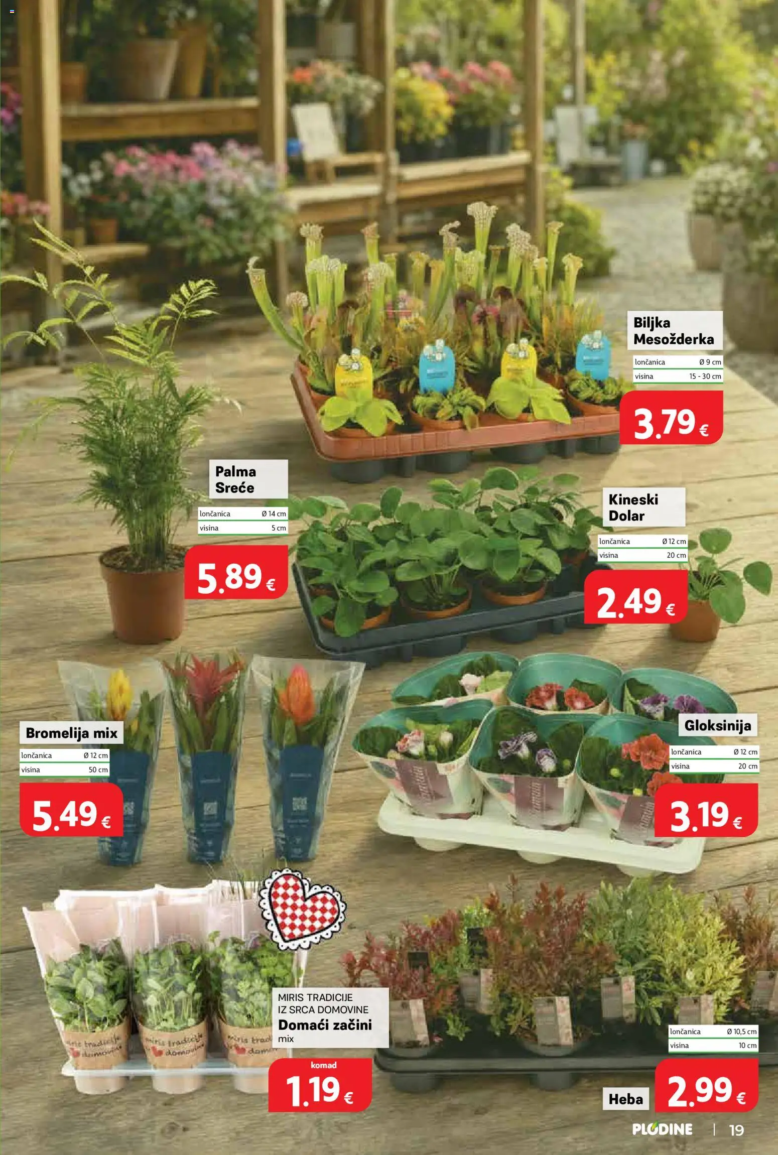 Plodine katalog | vrijedi od 29.07.2026 | Stranica: 19