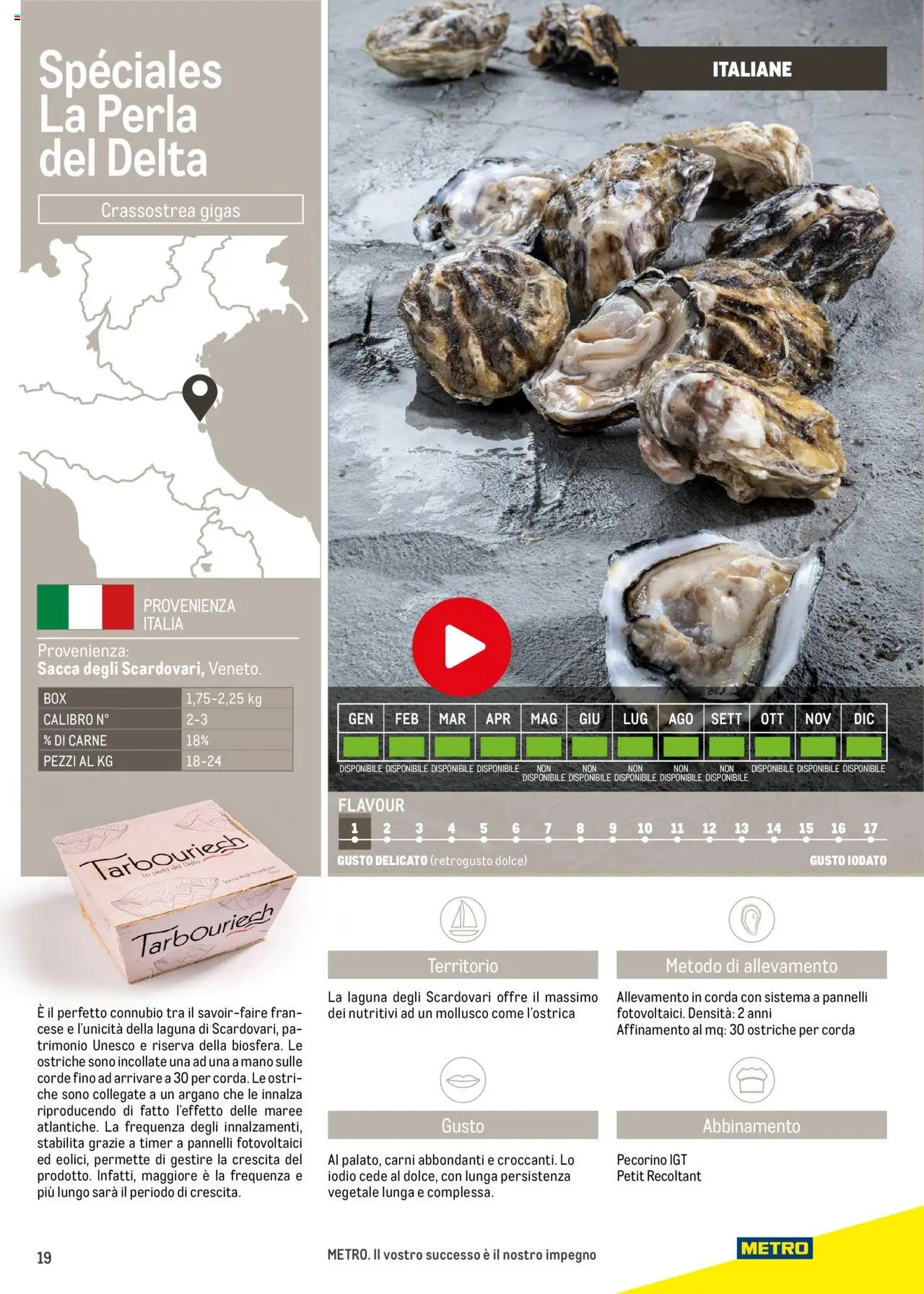 Volantino Metro del 17.06.2025 | Pagina: 19 | Prodotti: Pecorino