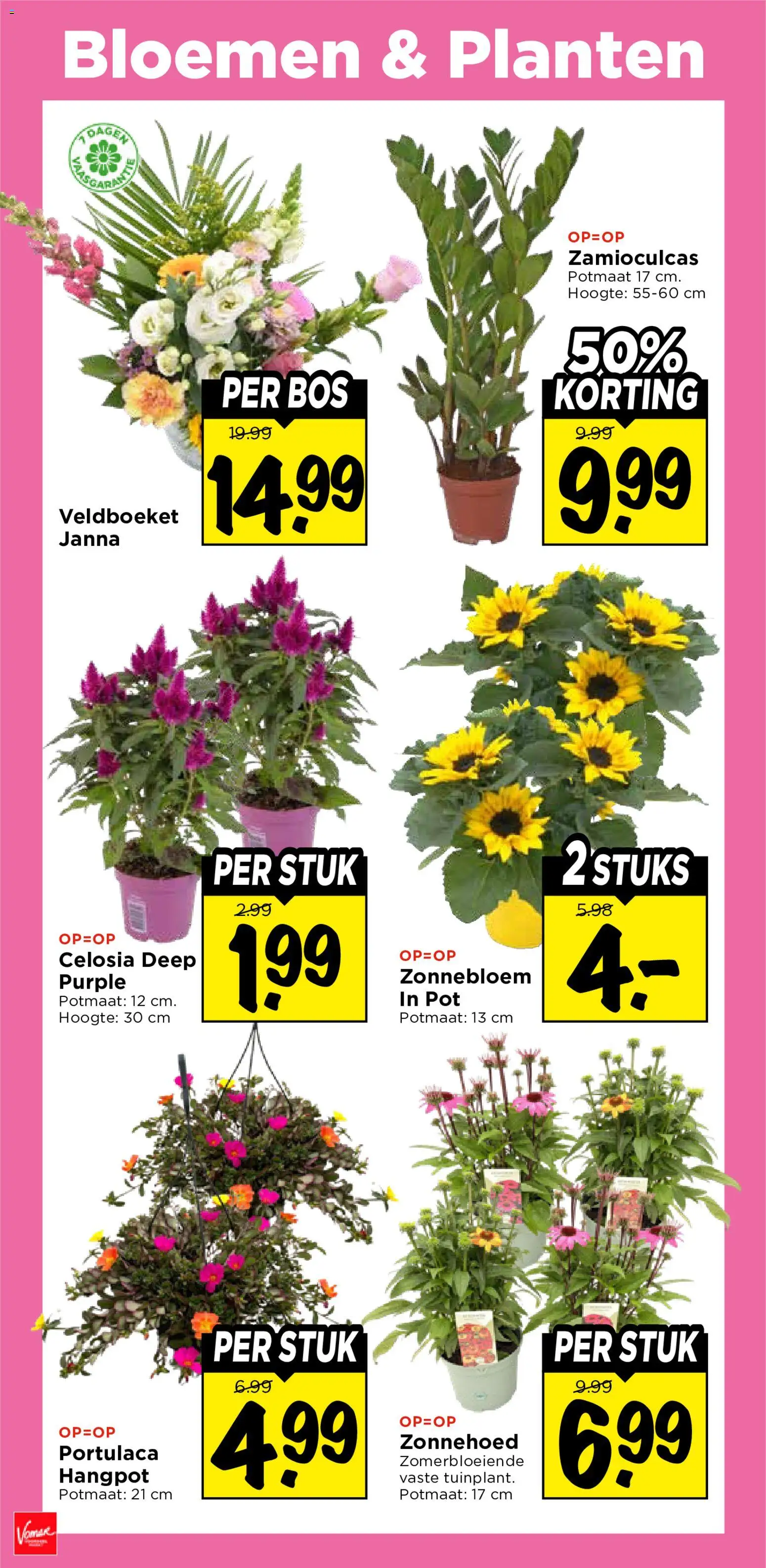 {H1} | Pagina: 35 | Producten: Pot, Bloemen