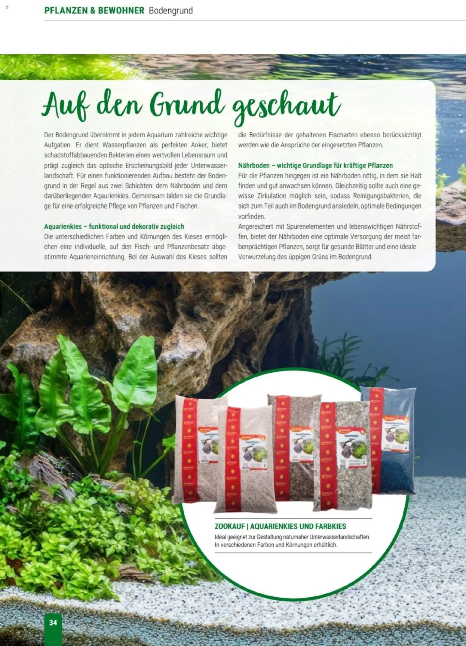 zookauf Themenkatalog Aqua – gültig ab 01.10.2026 | Seite: 34 | Produkte: Fisch