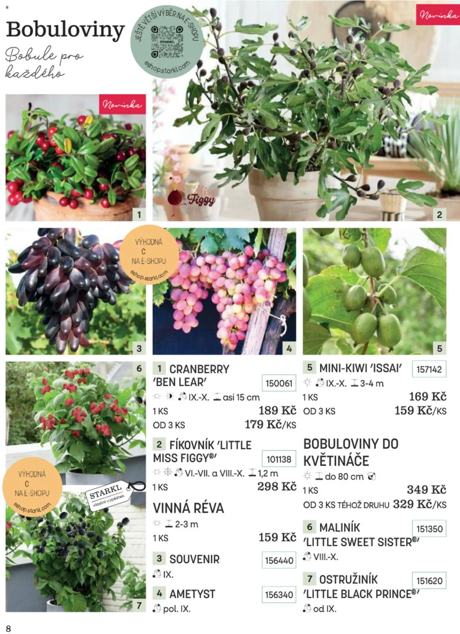 Starkl katalog Podzim 2026 od 01.09.2026 | Strana: 8 | Produkty: Květináče