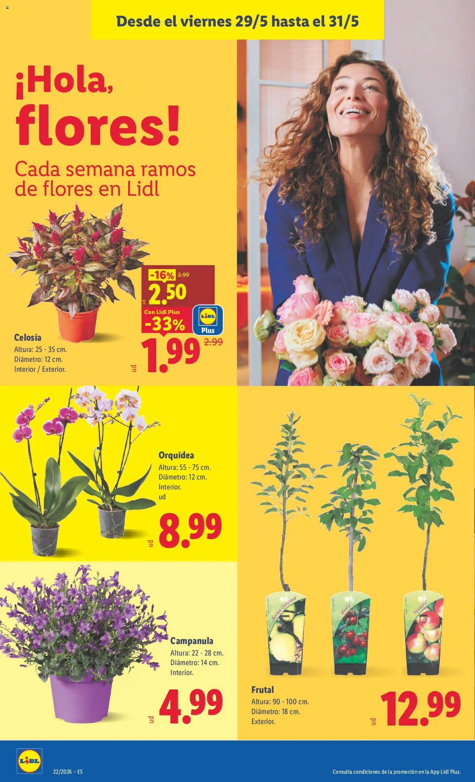 Lidl folleto │ válido desde el 25.05.2026 | Página: 34