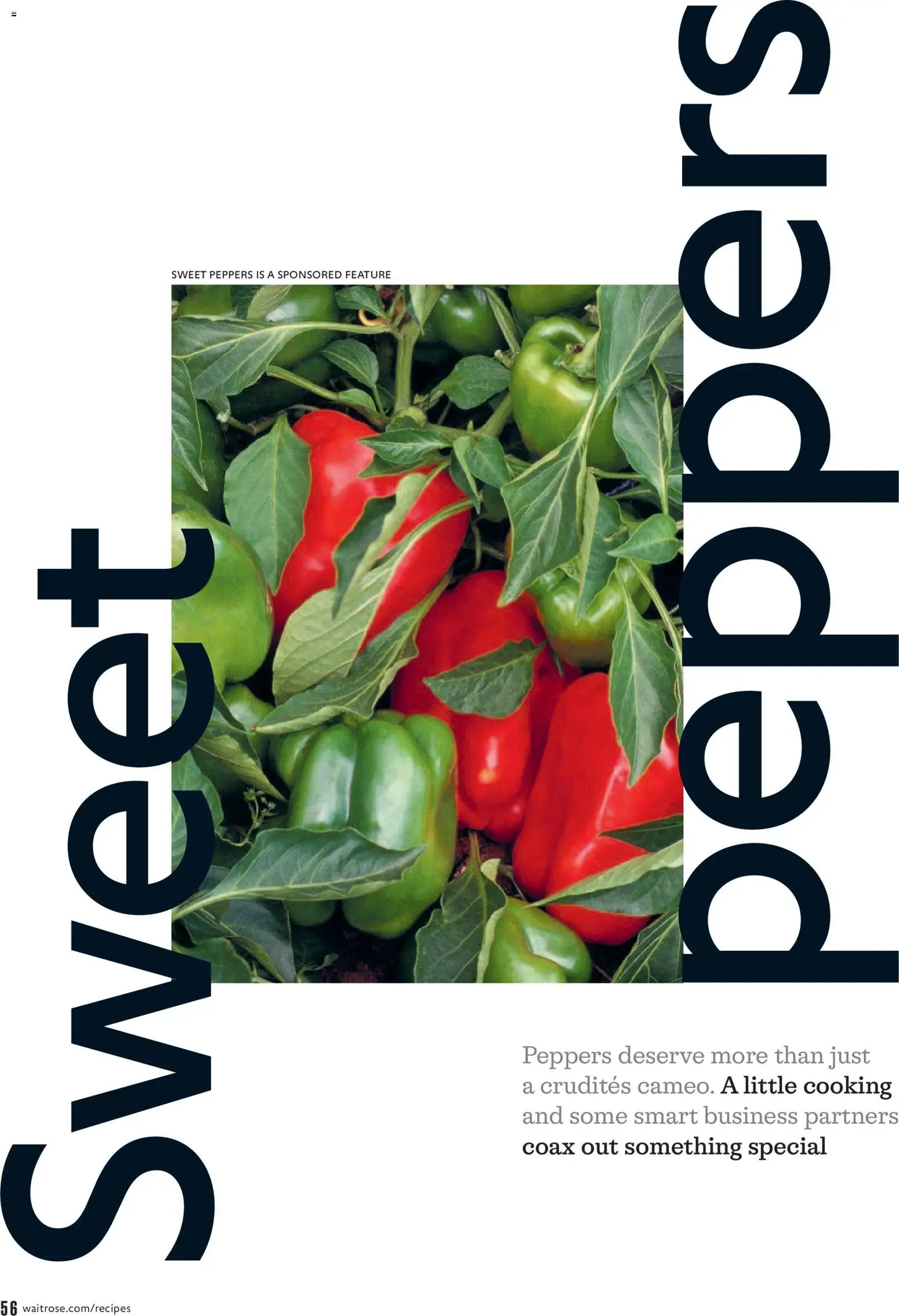 {H1} | Page: 56 | Products: Peppers