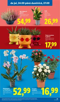 Ofertele Lidl valabile de la 21.09.2026 | Pagină: 53