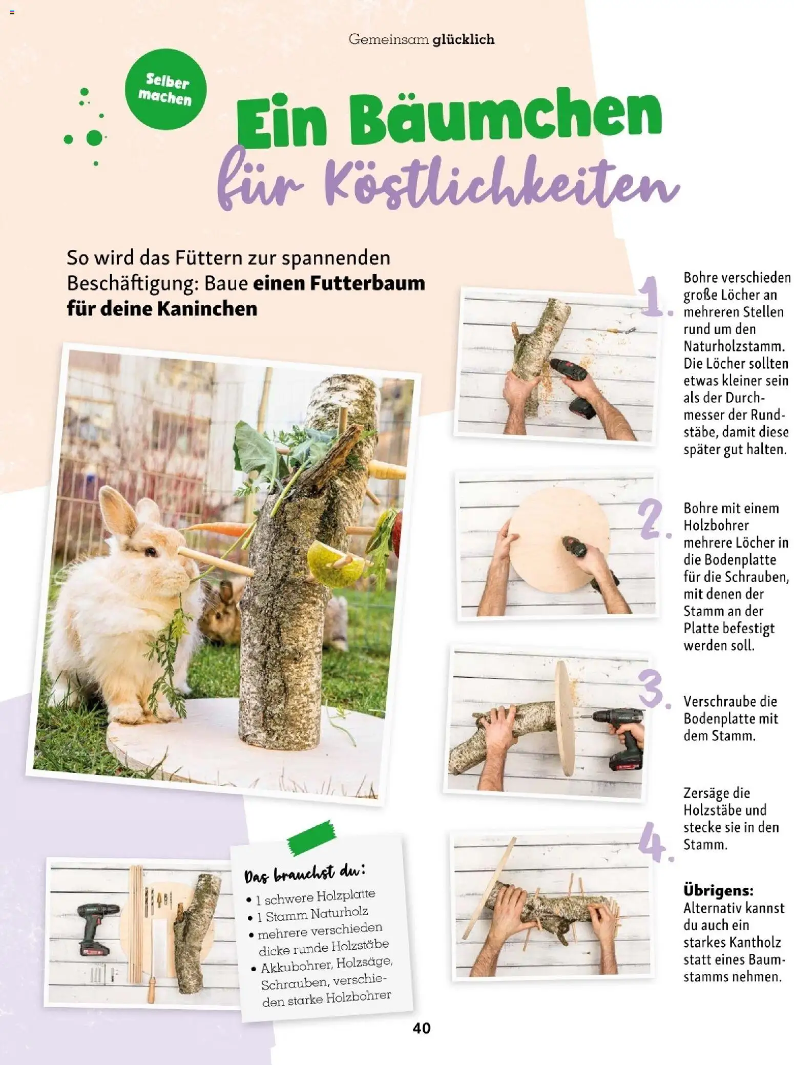 Fressnapf Friends 09,10 /26 gültig ab 01.09.2026 | Seite: 40