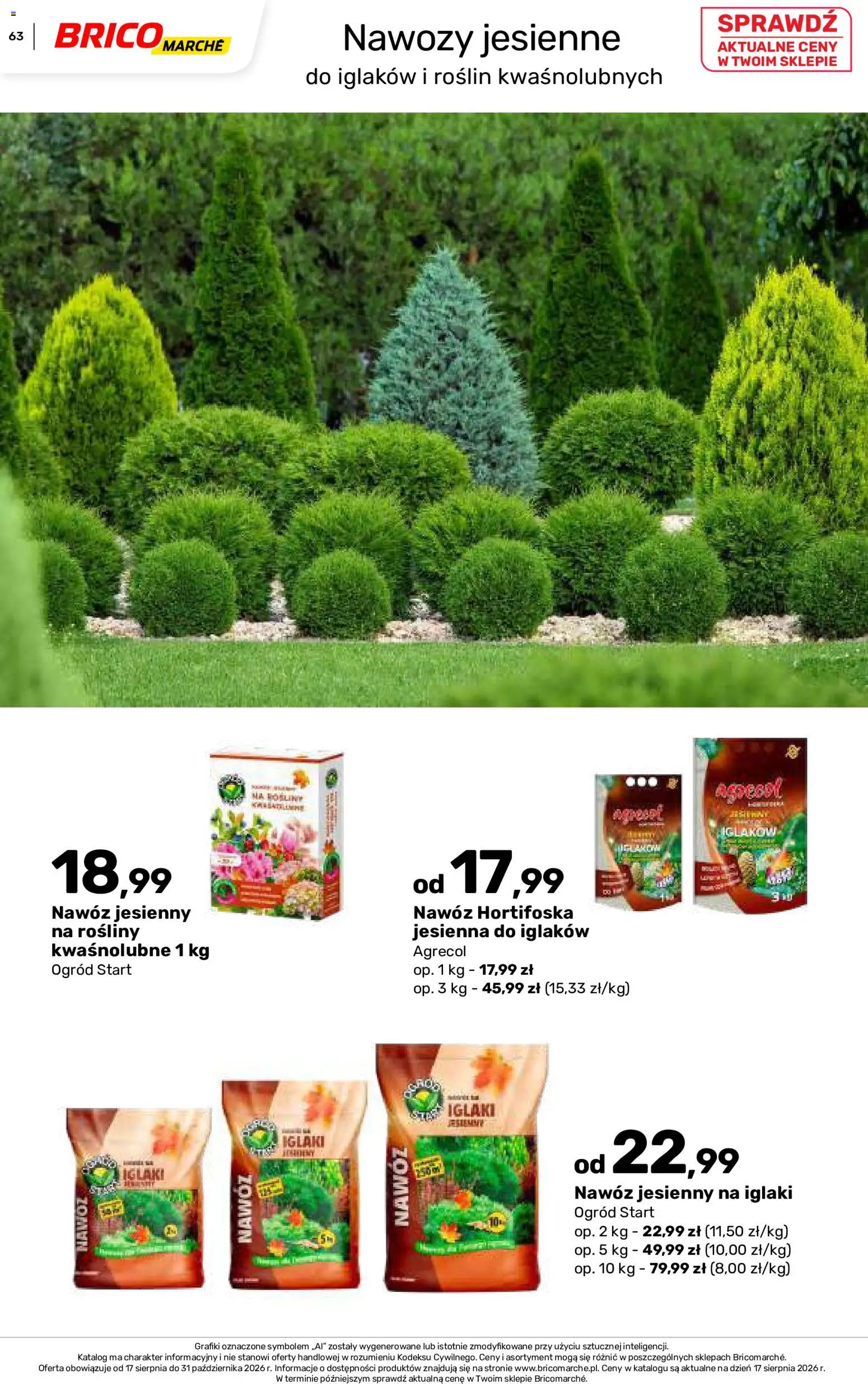 Brico Marché gazetka - Jesienne Inspiracje od 17.08.2026 | Strona: 63 | Produkty: Nawóz, Rosliny