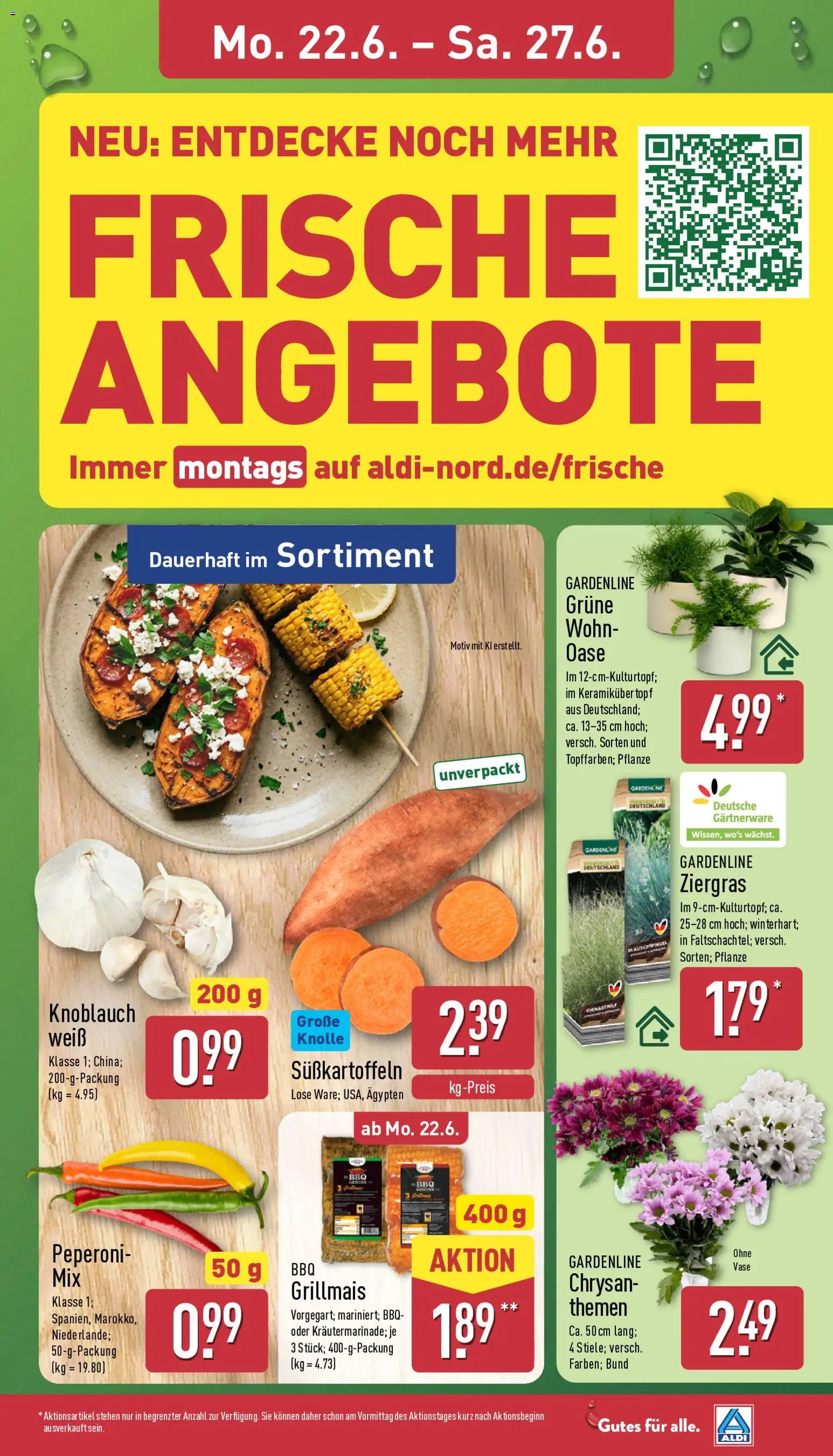 Aldi Prospekt – gültig ab 22.06.2026 | Seite: 3 | Produkte: Vase, Knoblauch