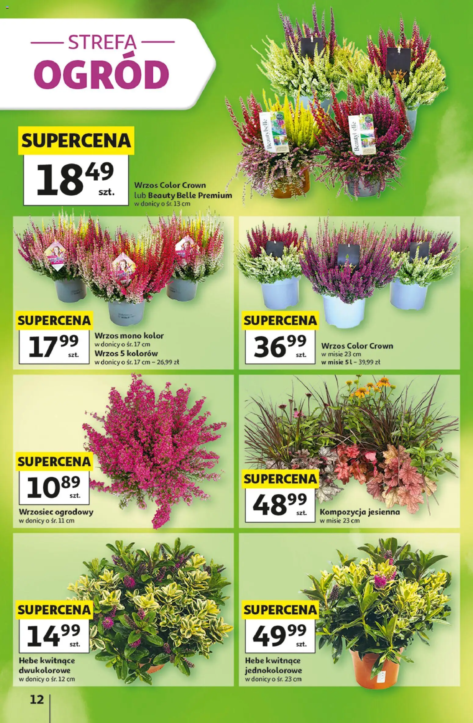 Auchan gazetka - 30 Lat Hipermarket od 03.09.2026 | Strona: 12 | Produkty: Wrzos