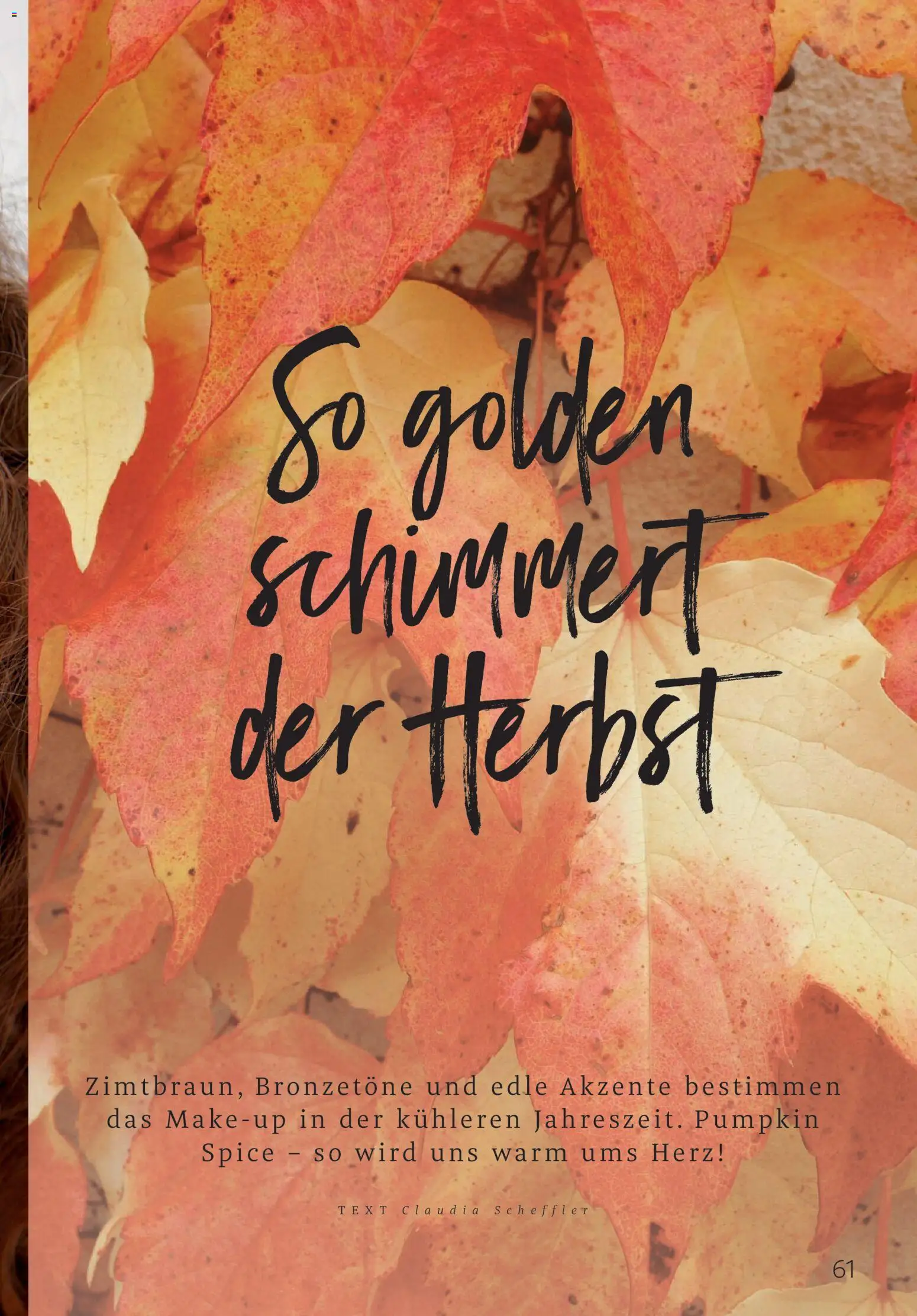 Rossmann Centaur – gültig ab 01.10.2026 | Seite: 61