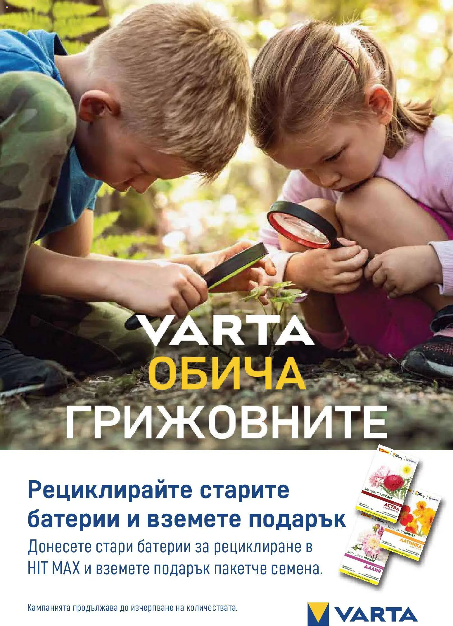 {H1} | Страница: 13 | Продукти: Батерии, Семена