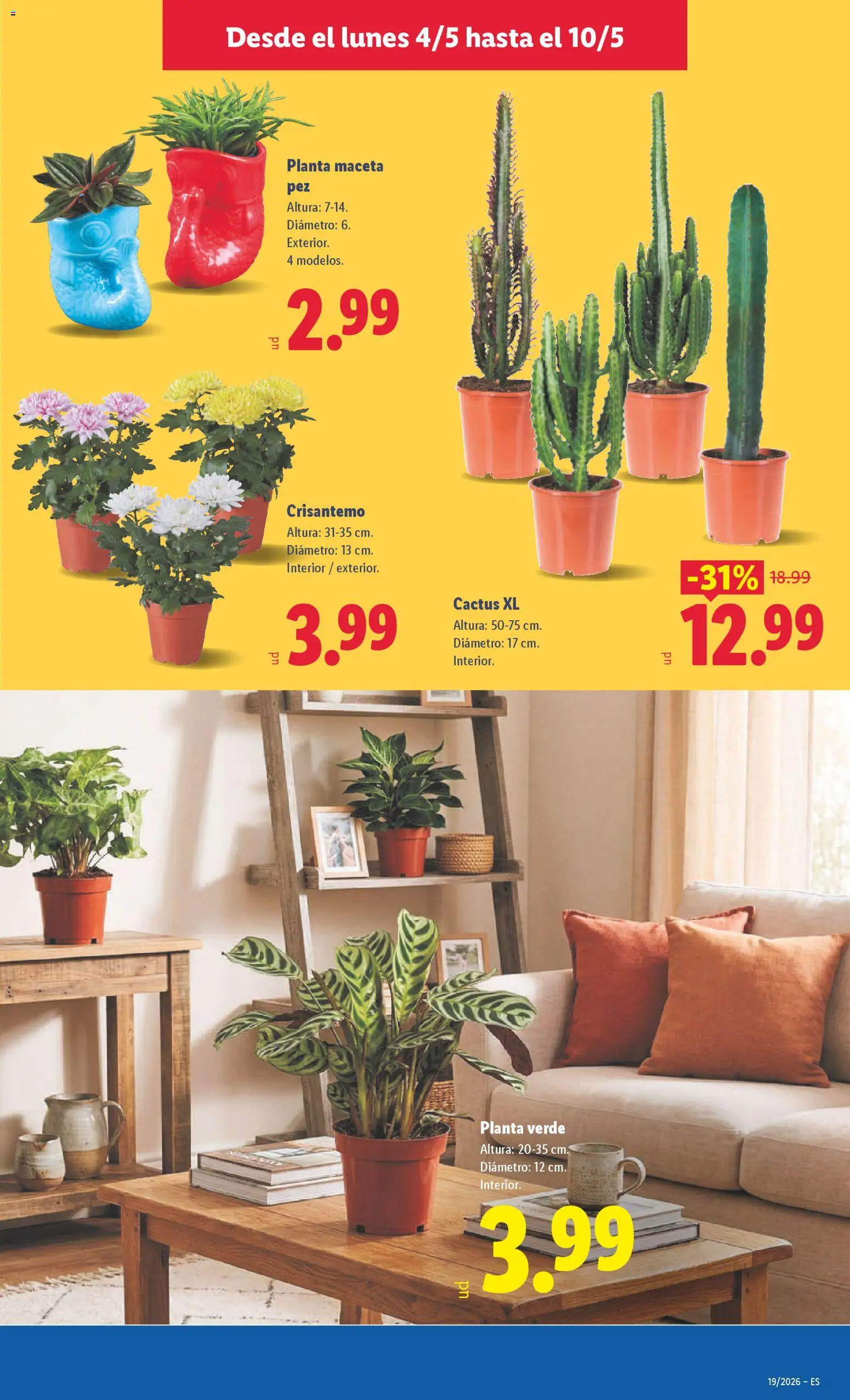 Lidl folleto │ válido desde el 04.05.2026 | Página: 51 | Productos: Maceta