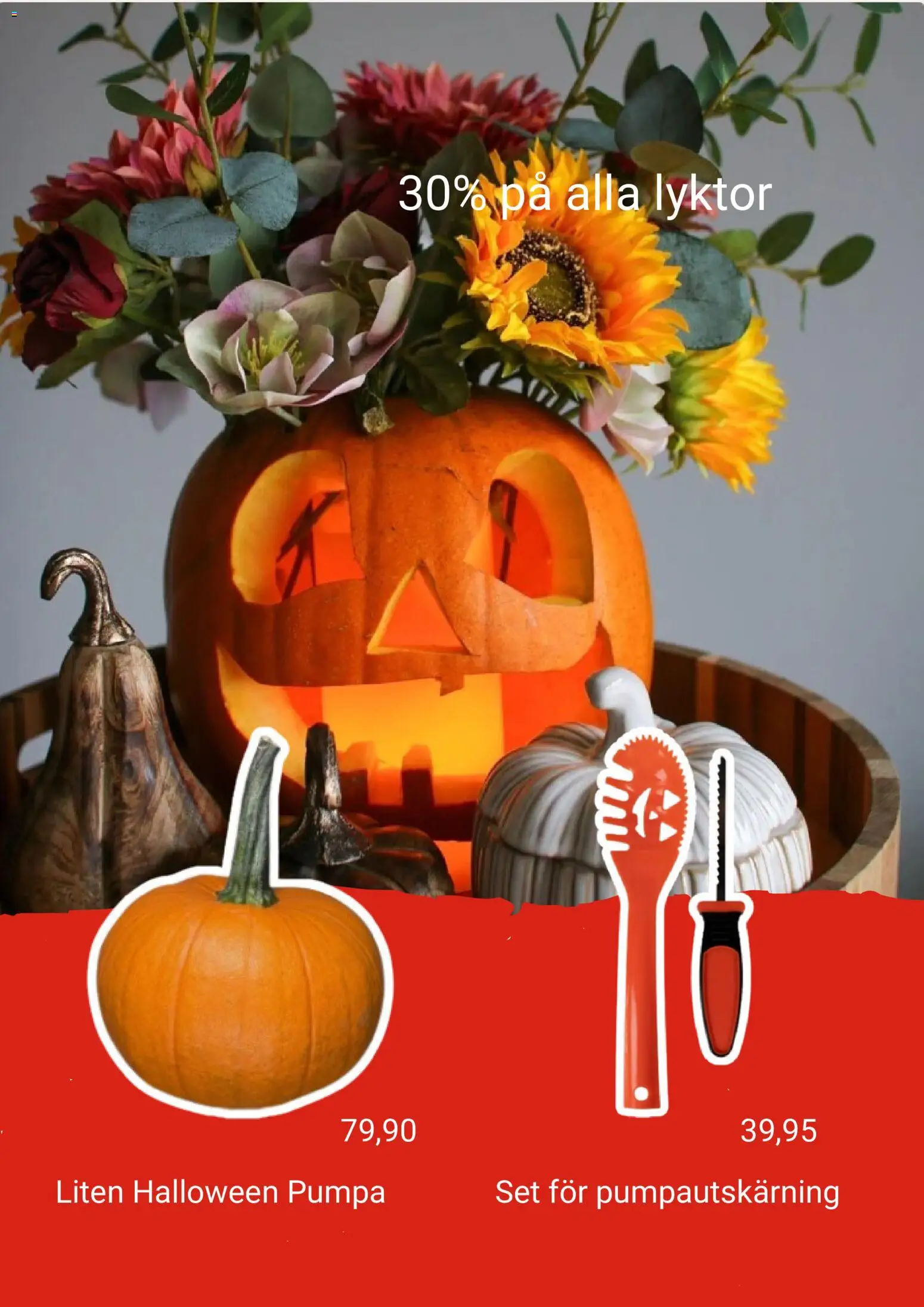Plantagen reklamblad aktuell från 16/10/2026 | Sida: 3 | Produkter: Set, Pumpa