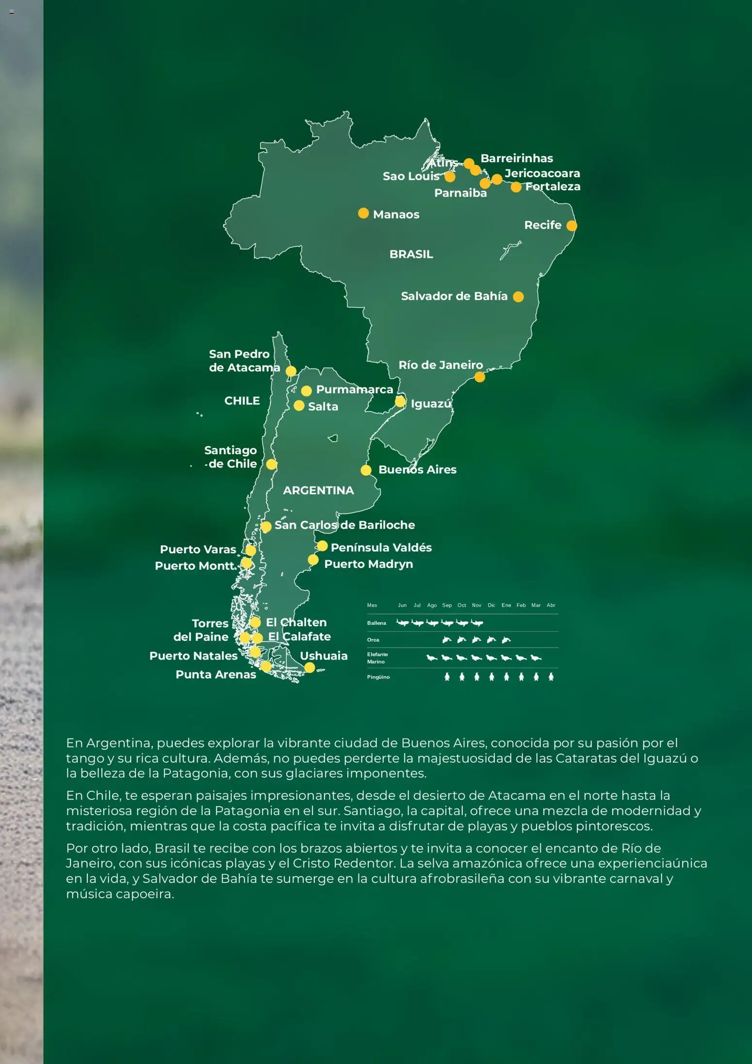 Viajes El Corte Inglés Centroamérica y Sudamérica │ válido desde el 01.01.2026 | Página: 67 | Productos: Té