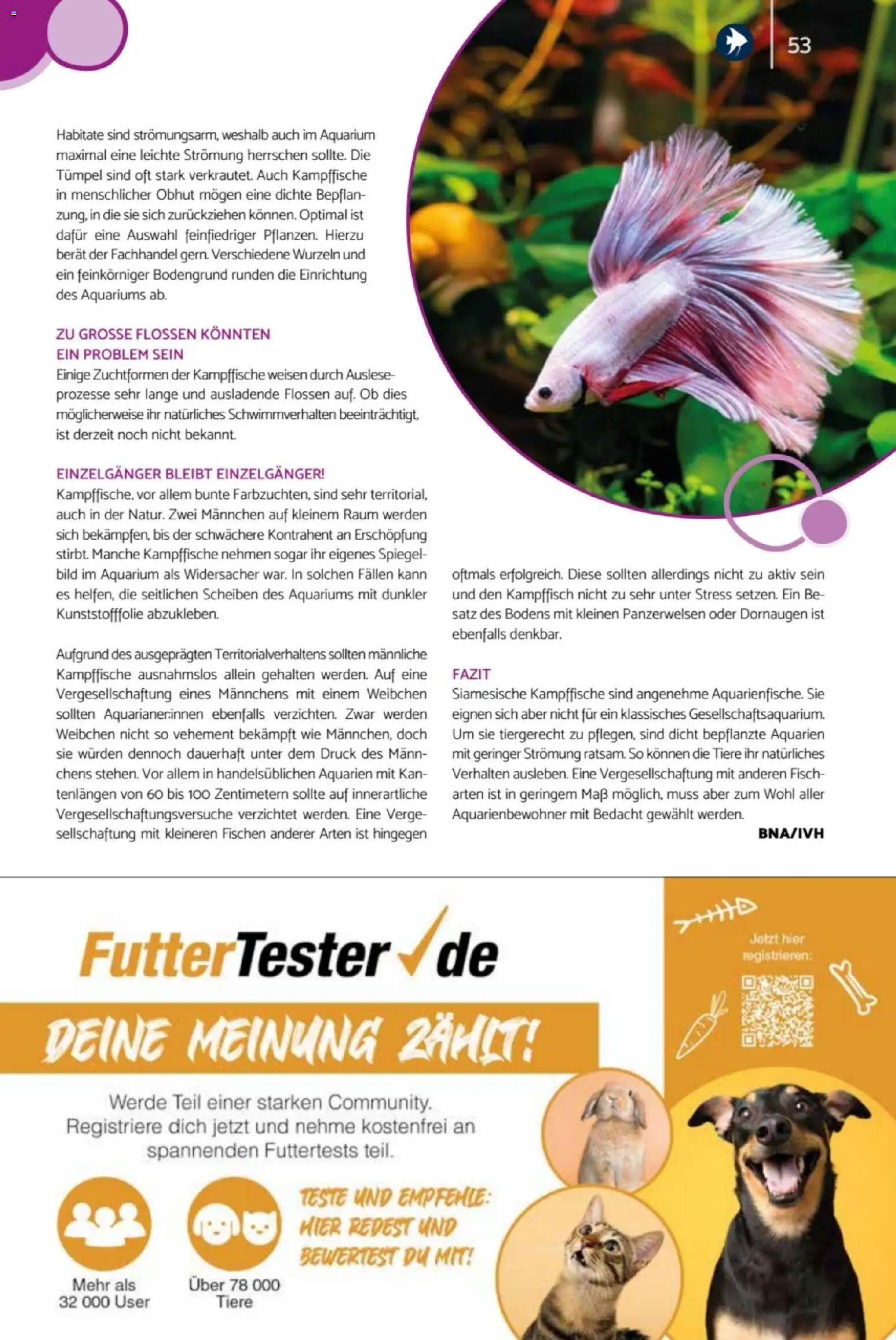 zookauf Heimtier Journal – gültig ab 01.06.2026 | Seite: 53 | Produkte: Spiegel, Fisch