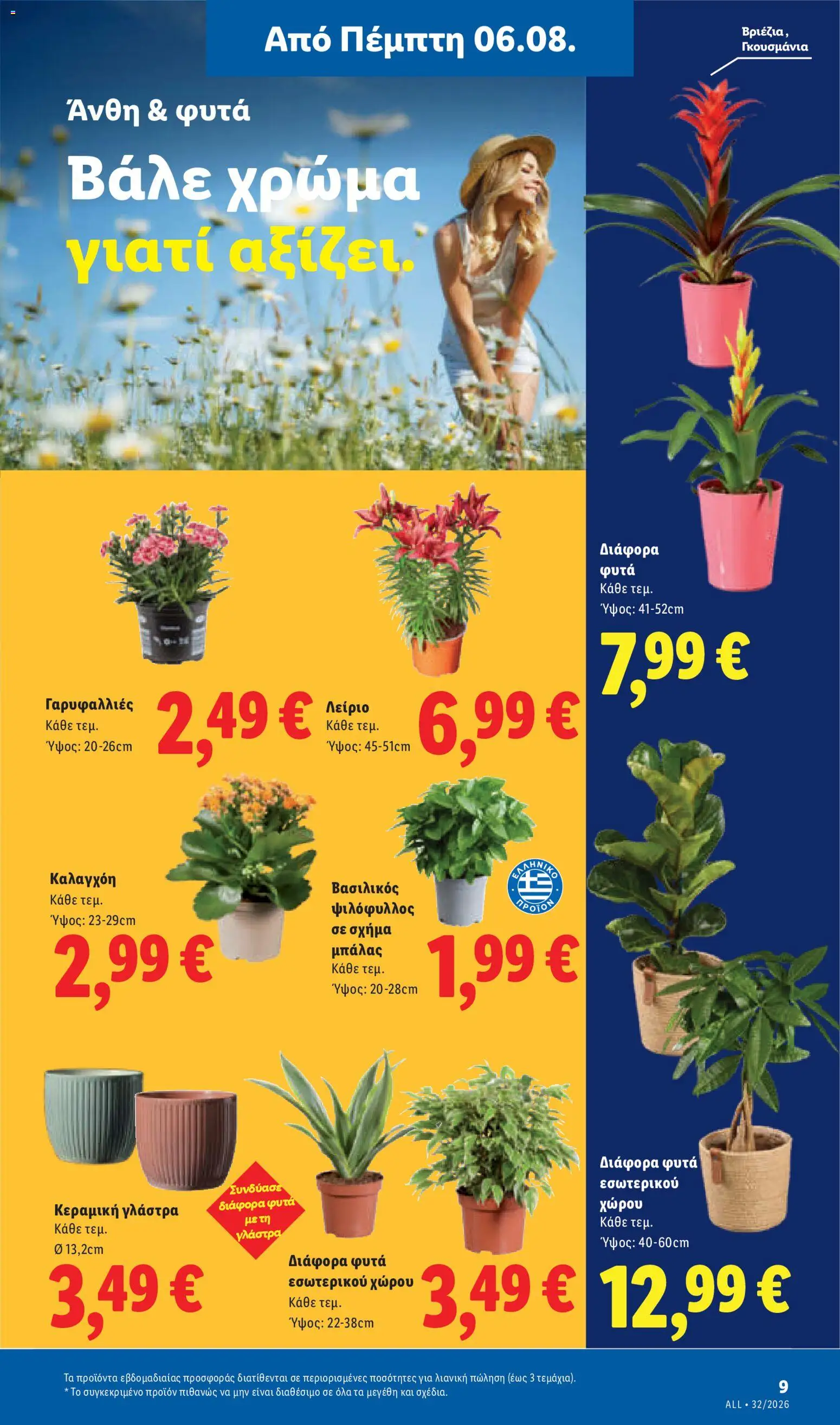 Lidl Φυλλάδιο - σε ισχύ από 06/08/2026 | Σελίδα: 47 | Προϊόντα: Βασιλικός, Γλάστρα