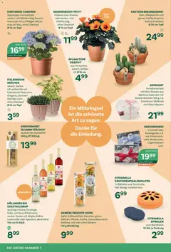 bellaflora Flugblatt ab 05.06.2026 gültig | Seite: 4
