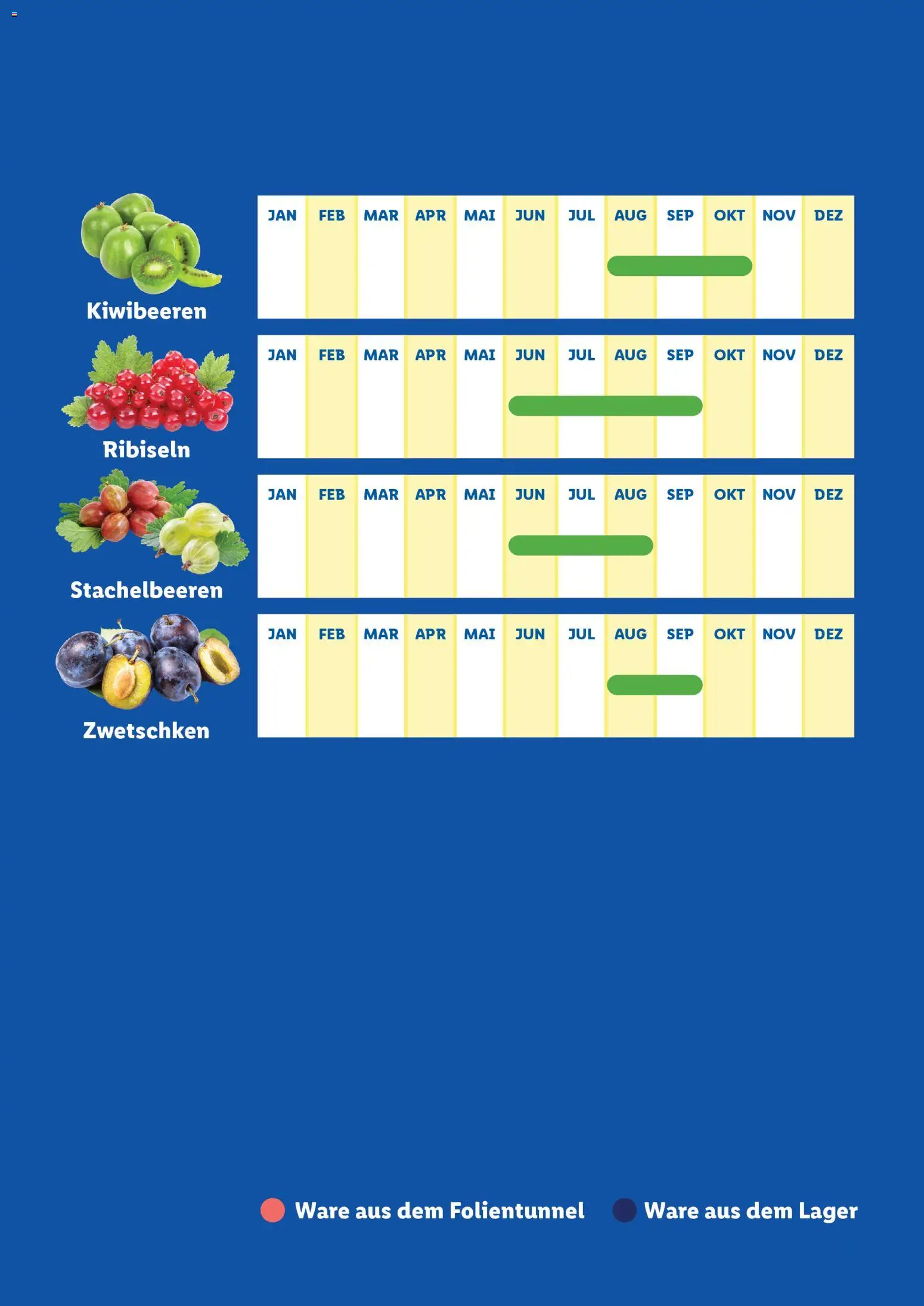 Lidl  Saisonkalender - Obst und Gemüse gültig ab 01.01.2026 | Seite: 3
