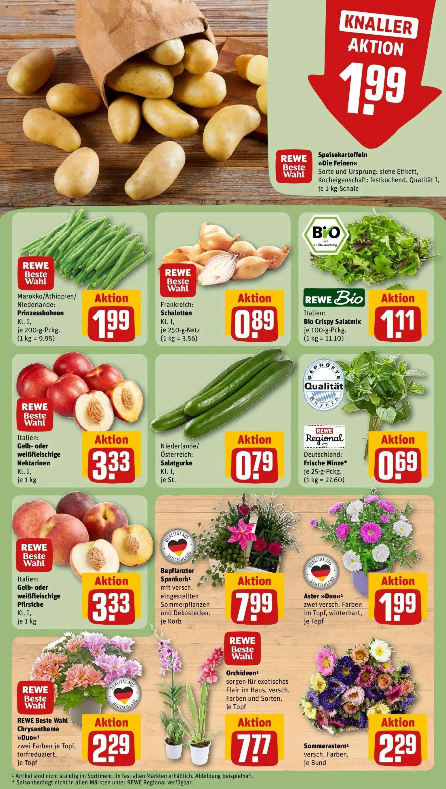 REWE Prospekt ab 03.08.2026 zum Blättern » Angebote | Seite: 7 | Produkte: Nektarinen, Korb
