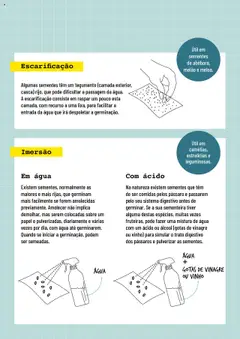 Pré-visualização BricoMarché Sementeiras válido de 17.01.2024 | Página: 3 | Produtos: Vinagre, Vinho, Melão