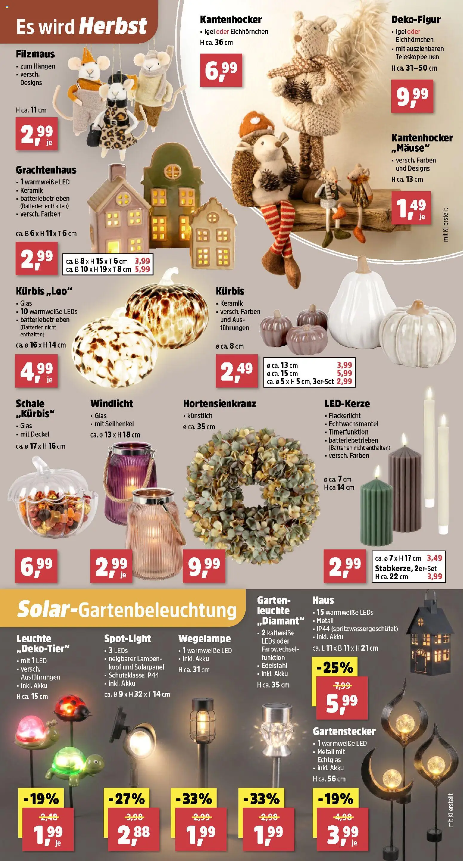 Thomas Philipps Flugblatt gültig ab 17.08.2026 | Seite: 3 | Produkte: Kürbis